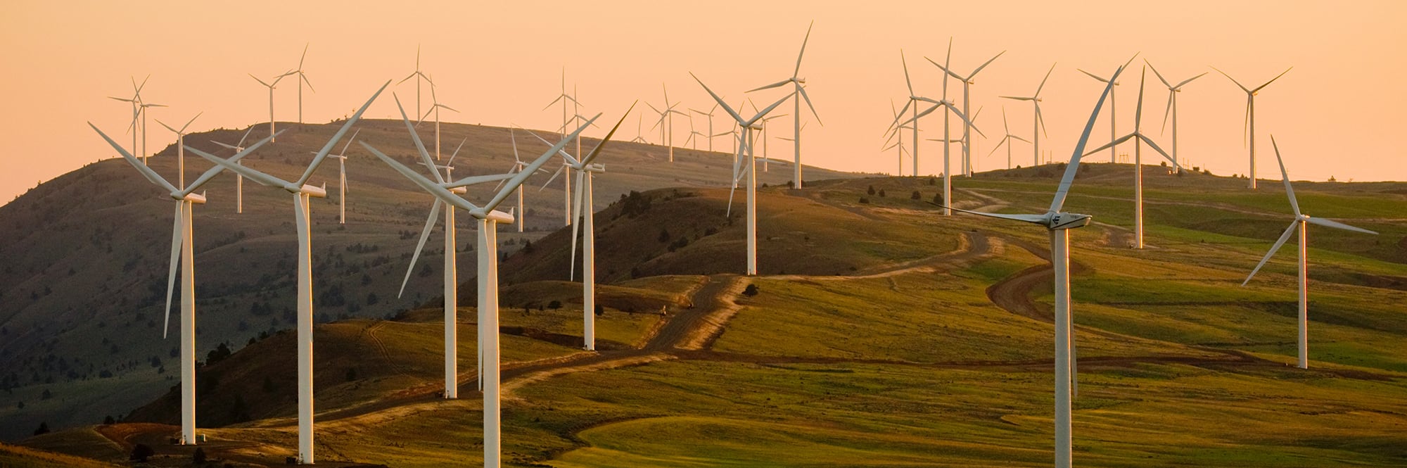 windmills